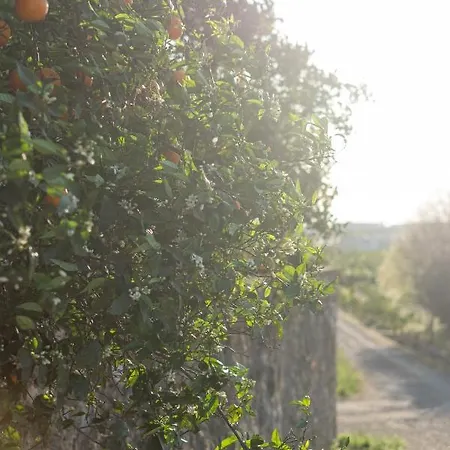 Casa Rural Emilio Con 4 * Málaga